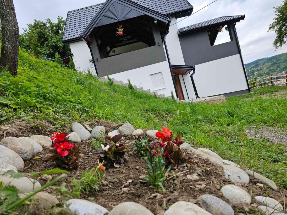 Дом отдыха View House Биело-Поле